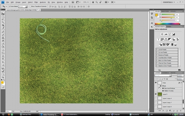 Creation of In my garden: Step 6